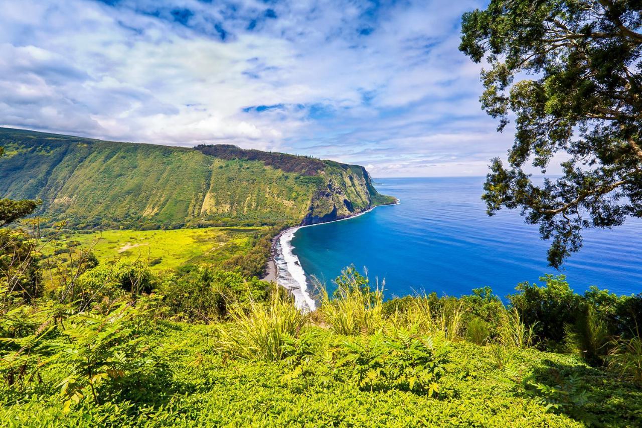 Апартаменты Kona Bali Kai #341 Каилуа-Кона Экстерьер фото